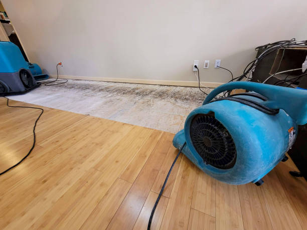 Professional Basement Flood Cleanup technician working in Westwood, NJ
